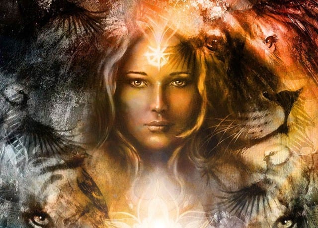 Twin Flame Spirit Animals Essential Insights Part 2